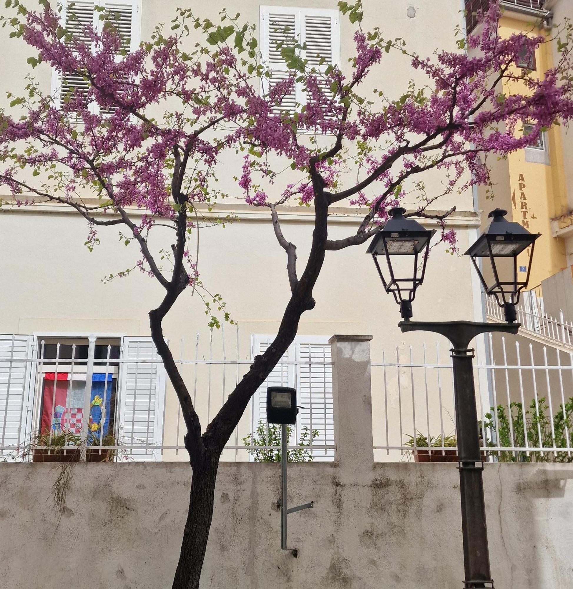 Old Town Apartment Omiš Exteriör bild